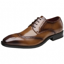 Formele Schoenen Heren Brogue Met Veters Spitse Neus Rundleer