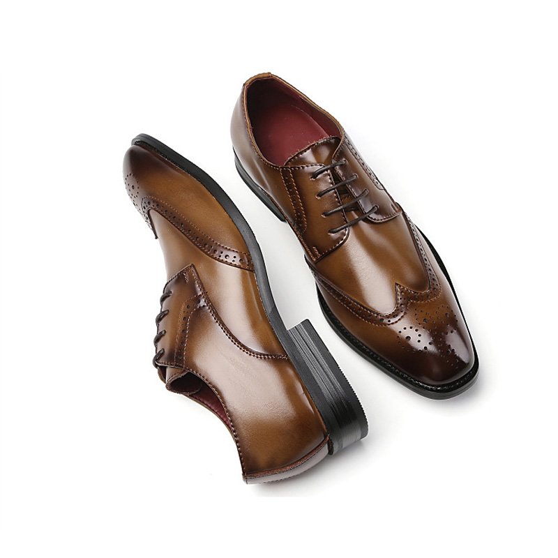 Formele Schoenen Heren Brogue Met Veters Spitse Neus Rundleer - Bruin